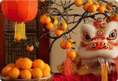 新年賀詞 | 筑夢未來，在這里展翅騰飛